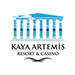 KayaArtemis